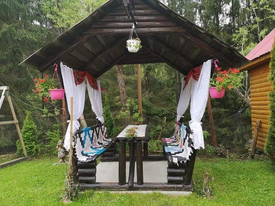 Pensiunea Gianina Lepus Kültér fotó