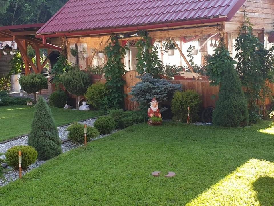 Pensiunea Gianina Lepus Kültér fotó