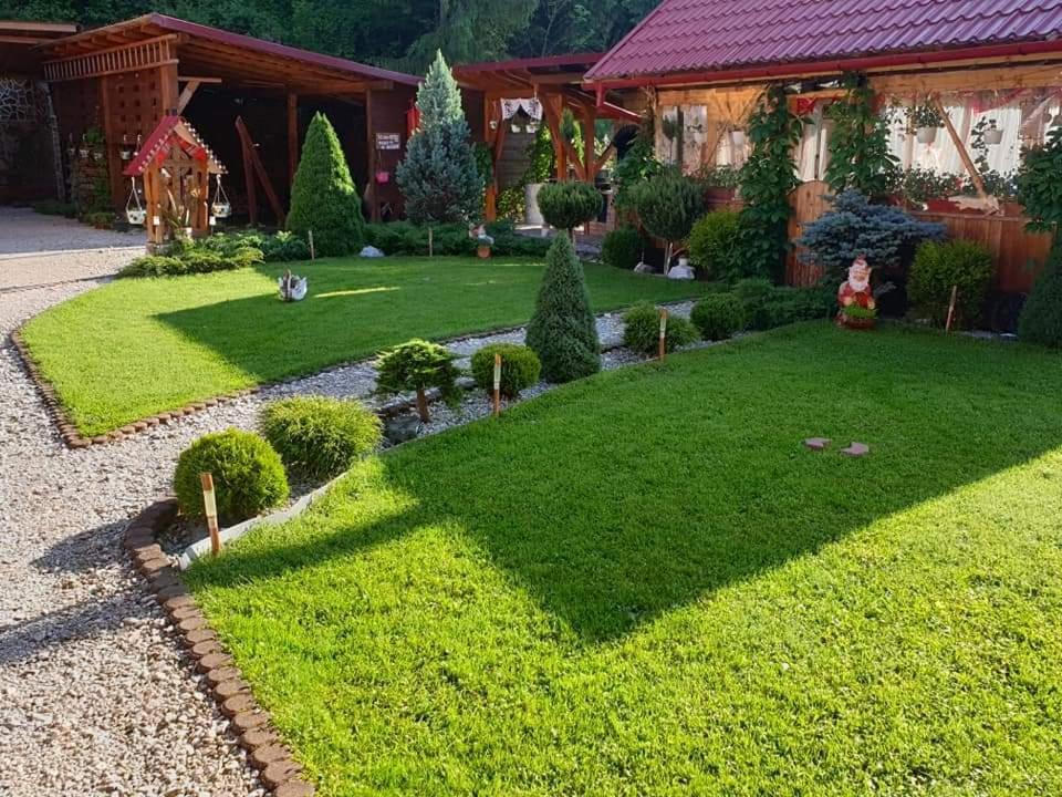 Pensiunea Gianina Lepus Kültér fotó
